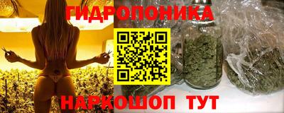 СК Лесосибирск